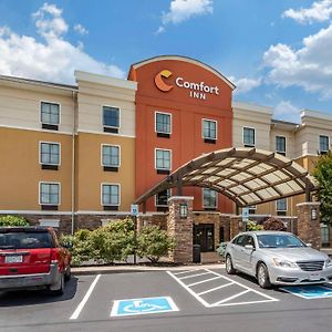 Comfort Inn Athens I - 75